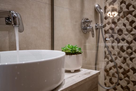 Modern bathroom featuring a white sink, sleek shower, and a small green plant.