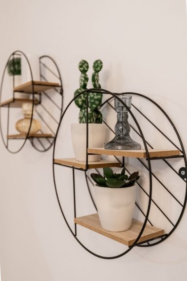 Decorative wall shelves with potted plants in modern circular metal frames.
