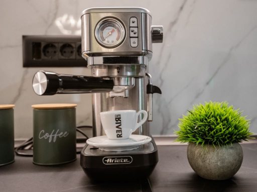 Stainless steel espresso machine with a coffee cup and potted plant on a countertop.